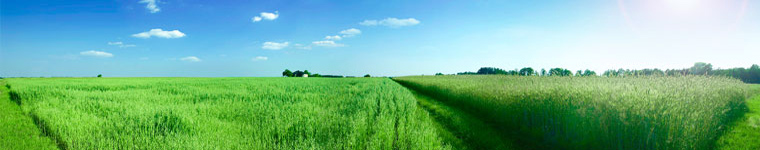 Milton Keynes Counselling